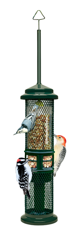 SQUIRREL BUSTER NUT FEEDER for Science and Nature from Le Naturaliste