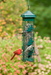 SQUIRREL SOLUTION 200 FEEDER for Science and Nature from Le Naturaliste