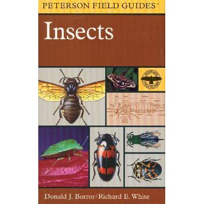 INSECTS for Science and Nature from Le Naturaliste
