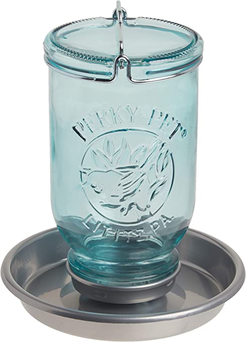 MASON JAR WILD BIRD WATERER 32 OZ for Science and Nature from Le Naturaliste