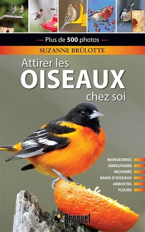 ATTIRER LES OISEAUX XHEZ SOI for Science and Nature from Le Naturaliste