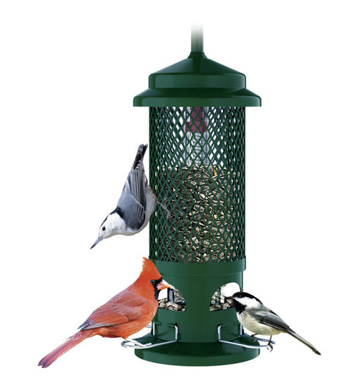 SQUIRREL BUSTER STANDARD FEEDER for Science and Nature from Le Naturaliste