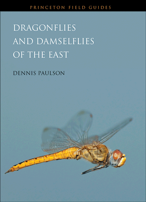 DRAGONFLIES AND DAMSELFLIES OF THE EAST for Science and Nature from Le Naturaliste
