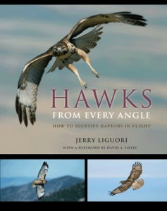 HAWKS FROM EVERY ANGLE for Science and Nature from Le Naturaliste