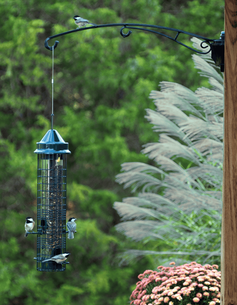 Squirrel Buster Classic feeder, full view