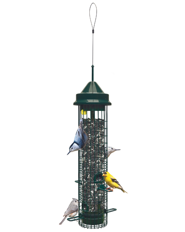 Squirrel Buster Classic feeder, product shot on white background