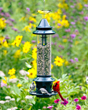 Squirrel Buster Plus squirrel-proof bird feeder with cardinals