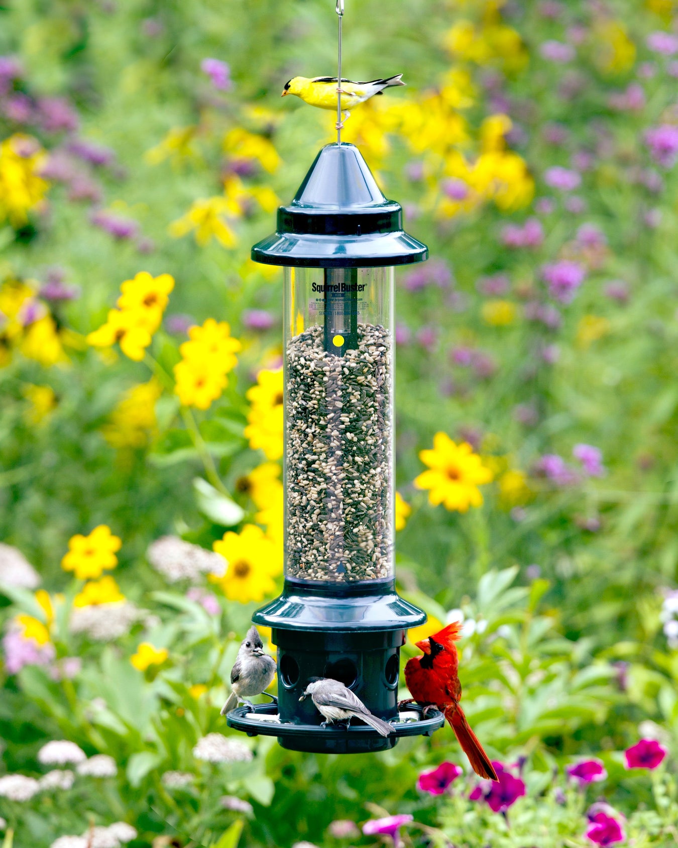 Feeders & waterers