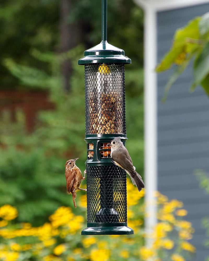 Squirrel Buster Nut Feeder