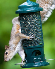 Squirrel Buster Standard - vue 3 (anti-ecureuil)