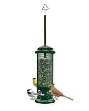 Squirrel Buster Legacy - vue 3 (angle)