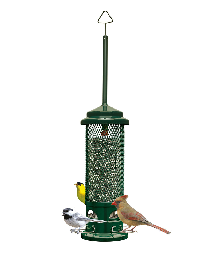 Squirrel Buster Legacy - vue 3 (angle)