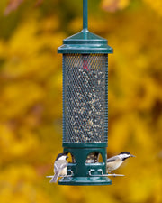 Squirrel Buster Legacy - vue 2