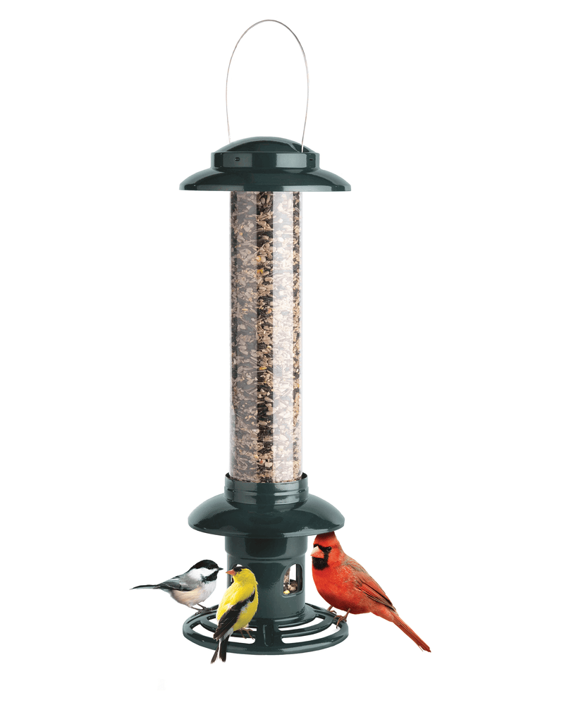 Squirrel Buster Evolution squirrel-proof bird feeder by Brome, green cap with water diverter