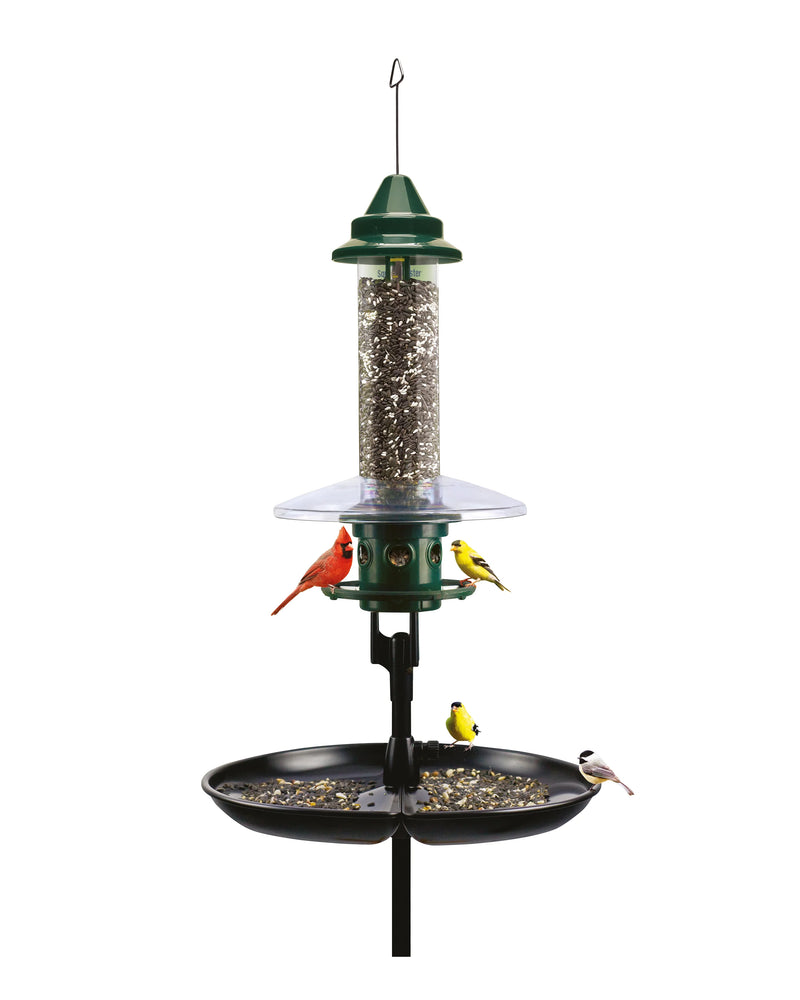 Station de mangeoires Squirrel Buster Plus Podium
