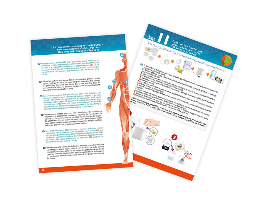 Buki France – Human Body Kit (12 Experiments)