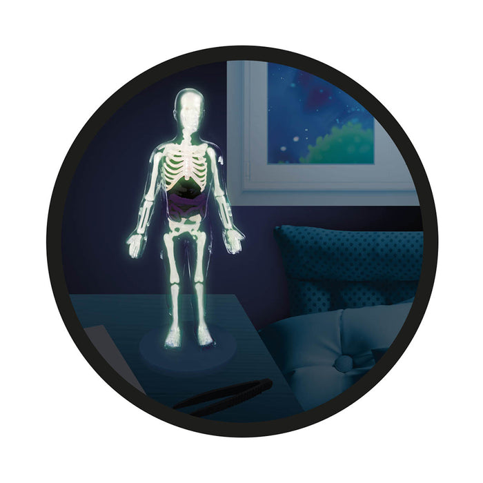 Buki France – Human Body Kit (12 Experiments)