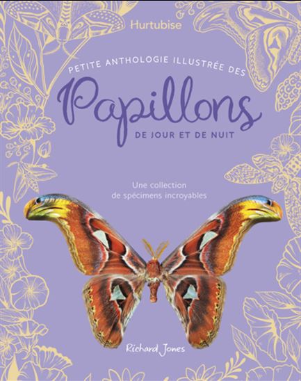 Petite anthologie illustrée des papillons de jour et de nuit