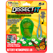 Dissect It – vue 3