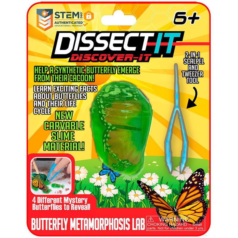 Dissect It – vue 3