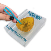 Dissect It – vue 6