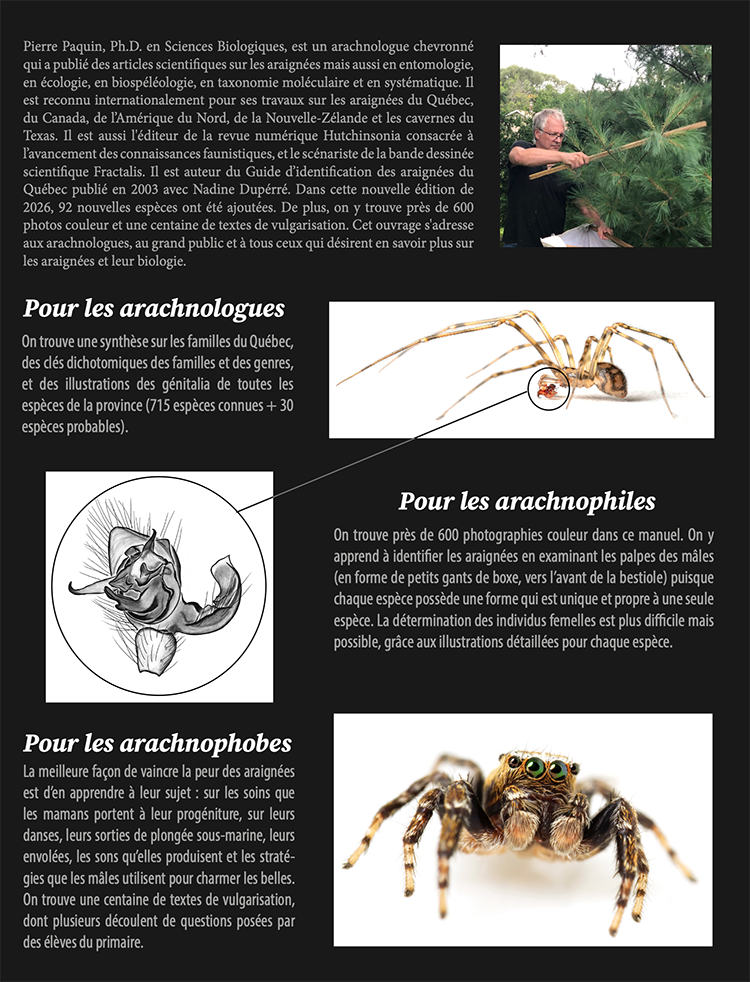 Les Araignées du Québec