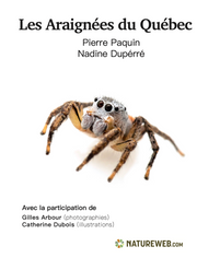 Couverture du livre Les Araignées du Québec — Pierre Paquin et Nadine Dupérré