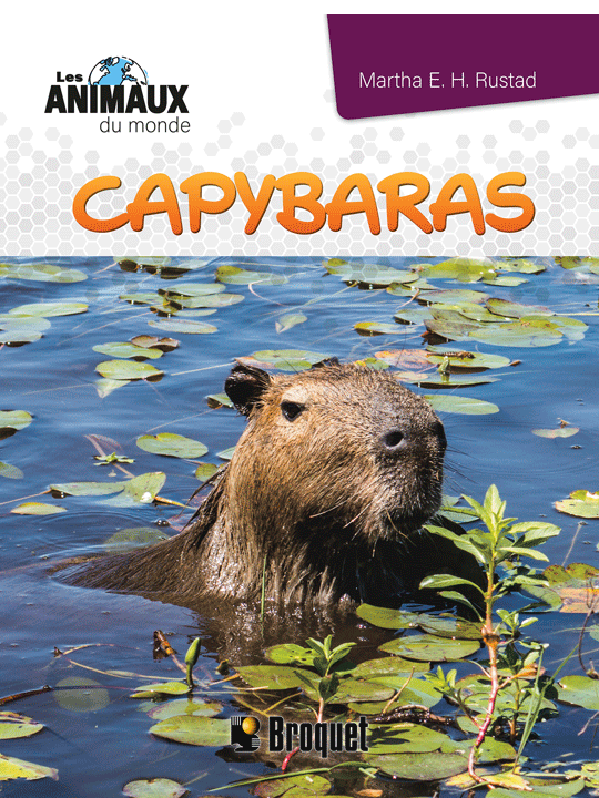 Capybaras - Les animaux du monde