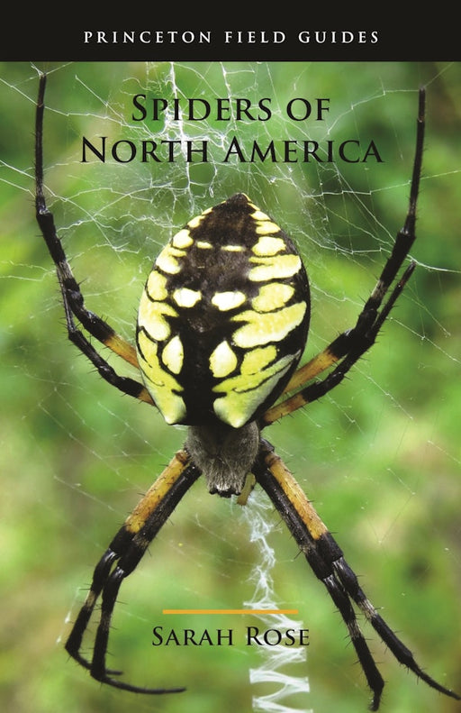 SPIDERS OF NORTH AMERICA for Science and Nature from Le Naturaliste