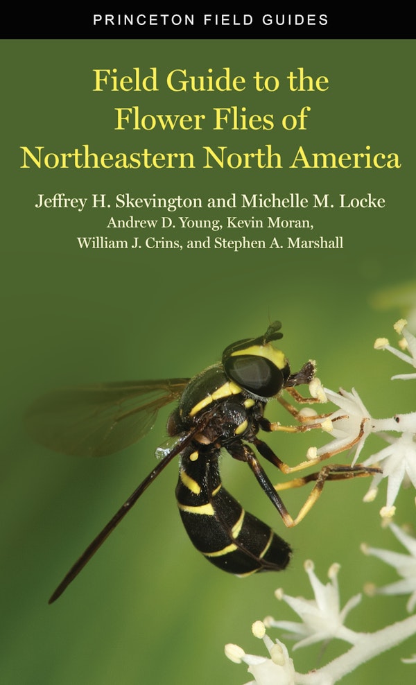 FIELD GUIDE TO THE FLOWER FLIES OF NORTHEASTERN NORTH AMERICA for Science and Nature from Le Naturaliste