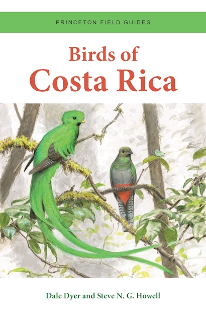 BIRDS OF COSTA RICA
