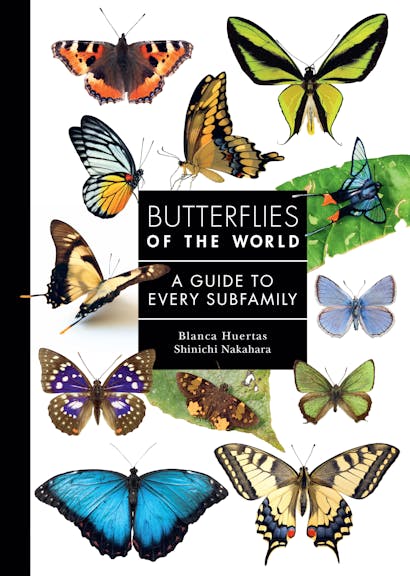 Princeton Butterflies of the World