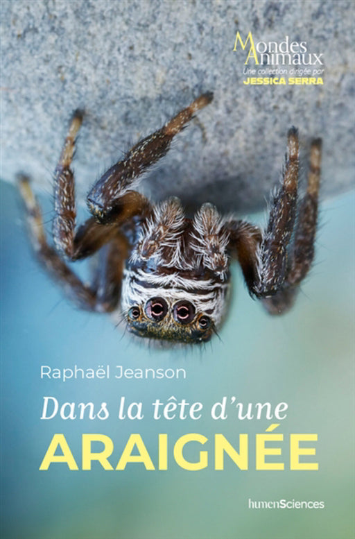 Couverture du livre Dans la tête d'une araignée de Raphaël Jeanson