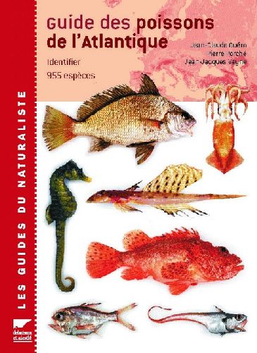 Guide des poissons de l'Atlantique européen : identifier 955 espèces