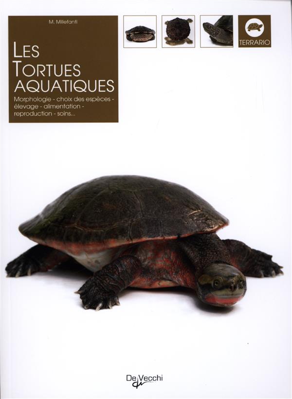 Les tortues aquatiques : morphologie, choix des espèces, élevage et soins
