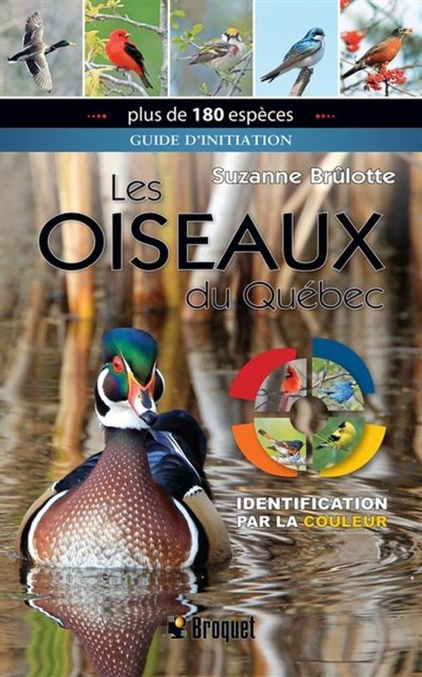 Les oiseaux du Québec - Identification par la couleur