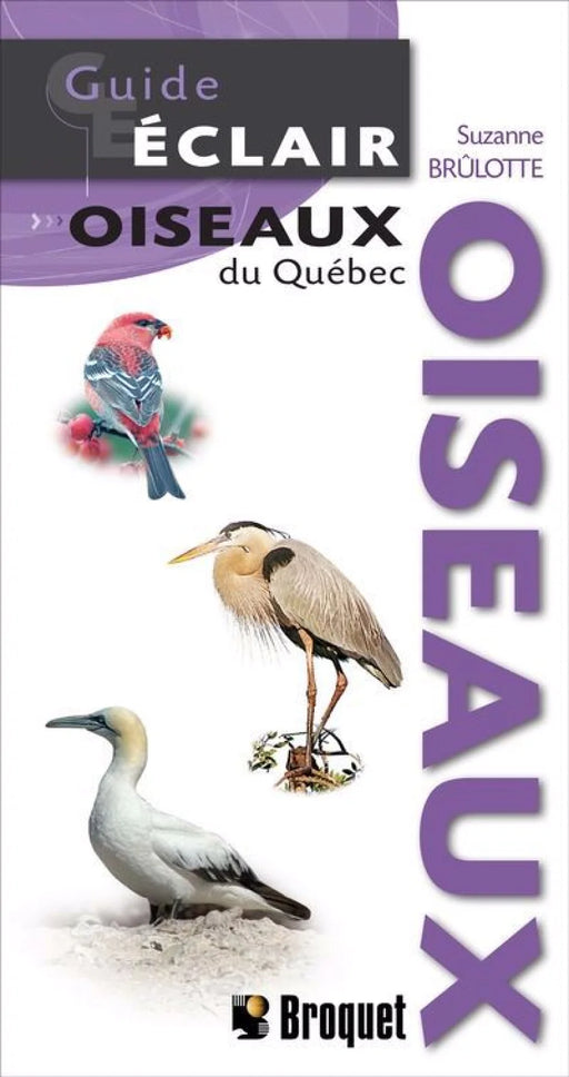 Guide Éclair – Birds of Québec, French-language fold-out field guide published by Broquet
