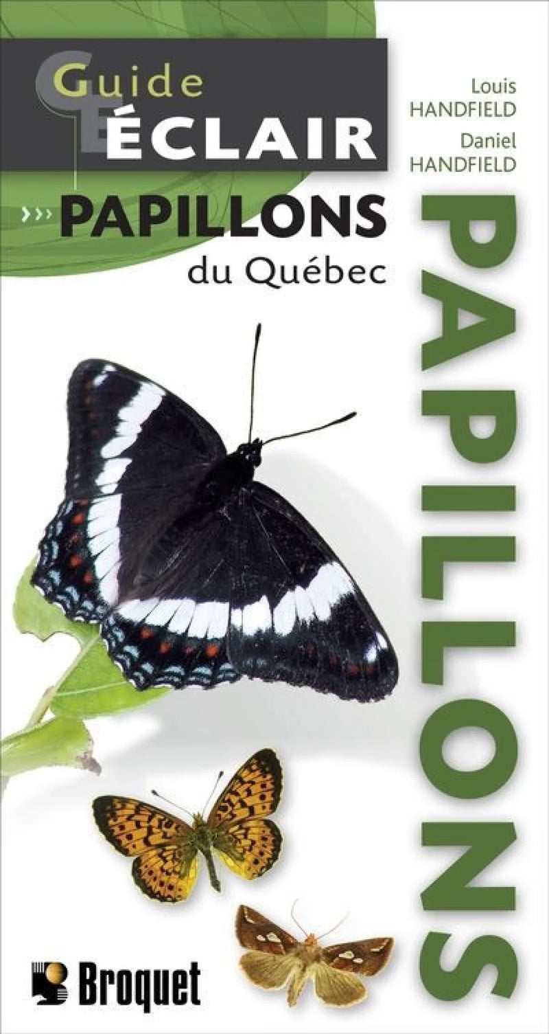 Guide Éclair – Butterflies of Québec, French-language fold-out field guide published by Broquet