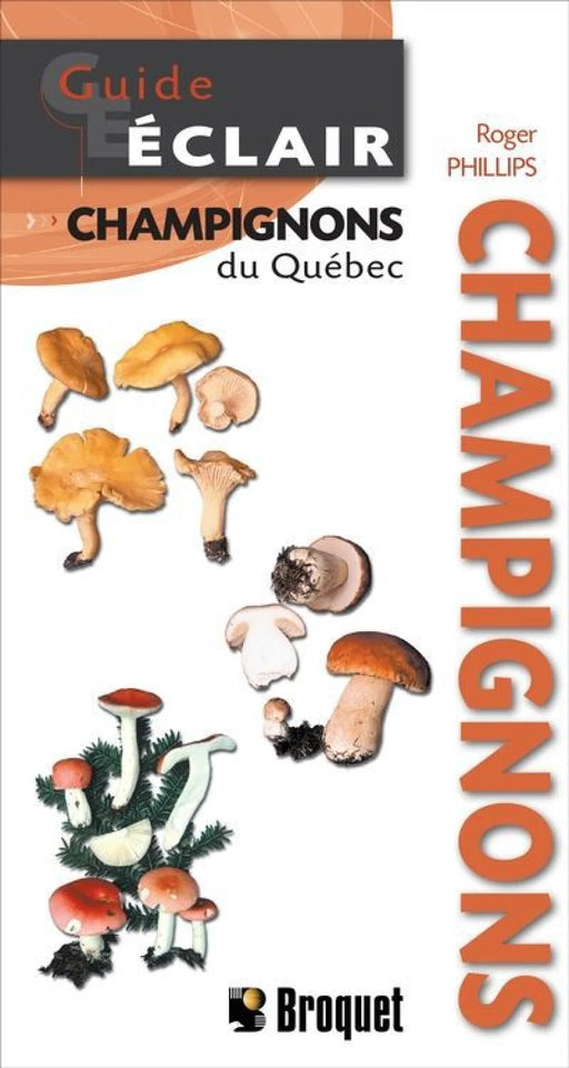 Guide Éclair – Mushrooms of Québec, French-language fold-out field guide published by Broquet