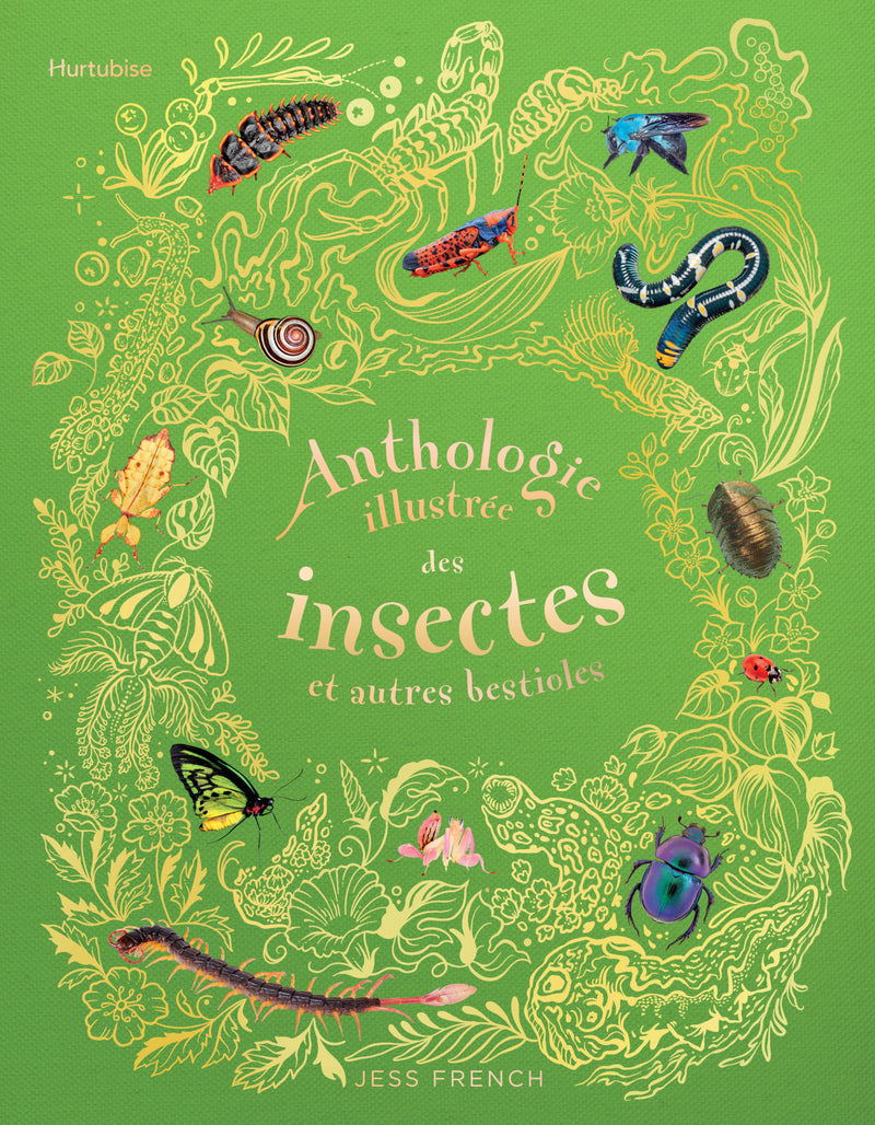 Anthologie illustrée des insectes et autres bestioles — couverture