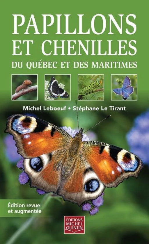 Papillons et chenilles du Québec et des Maritimes – édition revue et augmentée 2026