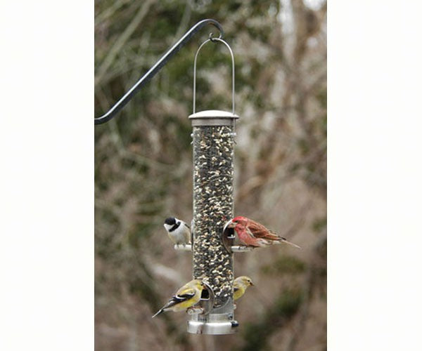 Aspects medium brushed nickel Quick Clean seed tube feeder