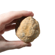 Break Your Own Geode – druzy interior detail