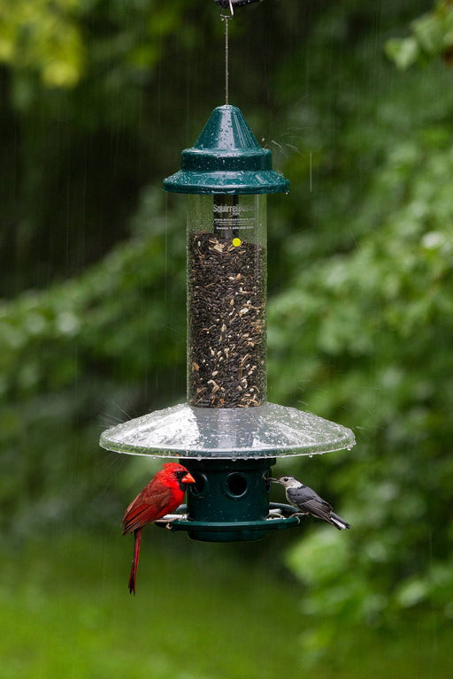 Weather Guard sheltering the seed ports of a Squirrel Buster Plus from rain