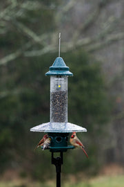 Weather Guard dome for Squirrel Buster Plus bird feeder