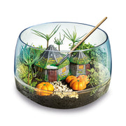 Harry Potter Hagrid's Hut Terrarium – assembled miniature ecosystem
