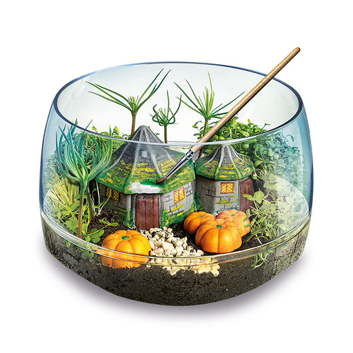 Harry Potter Hagrid's Hut Terrarium – assembled miniature ecosystem