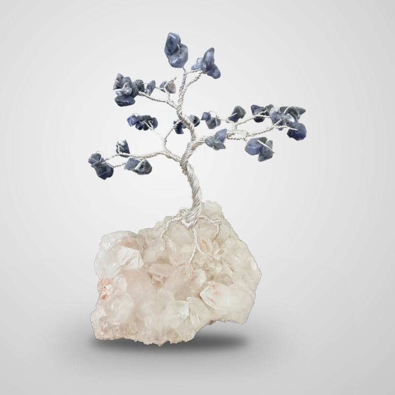 Arbre de gemmes, sodalite sur quartz de l'Himalaya