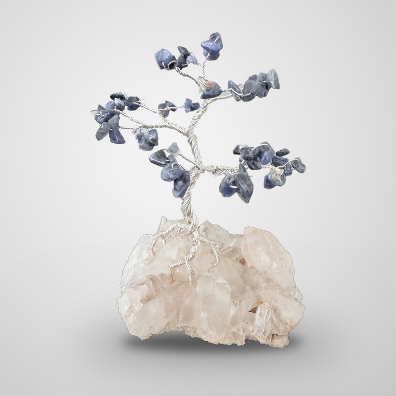 Arbre de gemmes, sodalite sur quartz de l'Himalaya