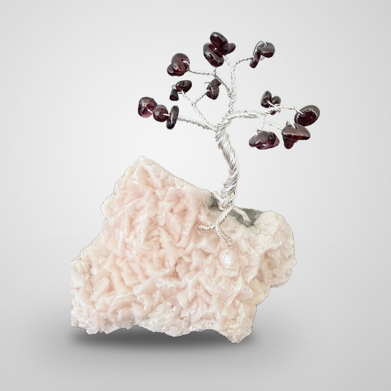 Arbre de gemmes, grenat rouge sur dolomite du Québec